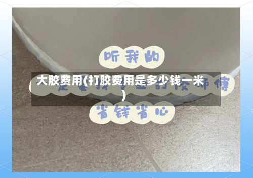大胶费用(打胶费用是多少钱一米)-第2张图片
