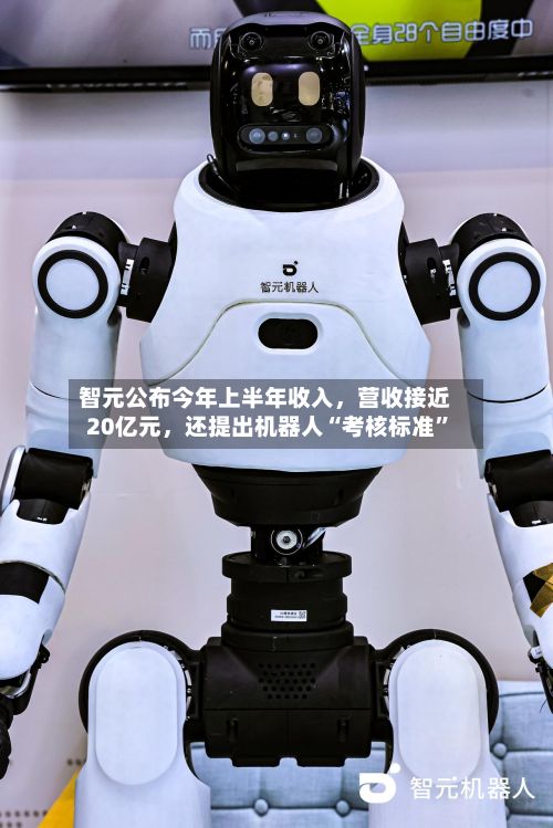 智元公布今年上半年收入，营收接近20亿元，还提出机器人“考核标准”-第2张图片