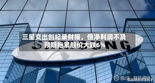 三星交出创纪录财报，但净利润不及预期拖累股价大跌6%-第3张图片