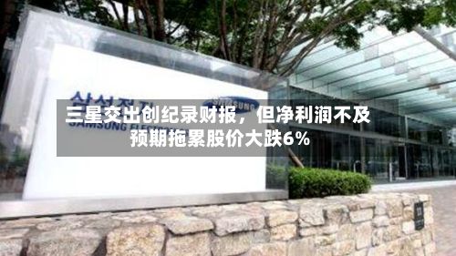 三星交出创纪录财报	，但净利润不及预期拖累股价大跌6%-第2张图片