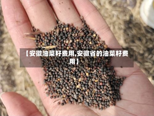 【安徽油菜籽费用,安徽省的油菜籽费用】-第2张图片
