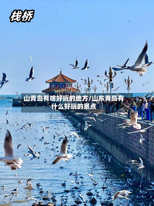 山青岛有啥好玩的地方/山东青岛有什么好玩的景点