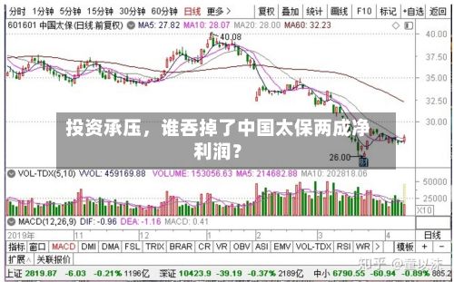 投资承压，谁吞掉了中国太保两成净利润？-第3张图片