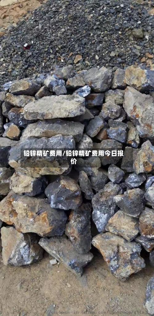 铅锌精矿费用/铅锌精矿费用今日报价-第2张图片