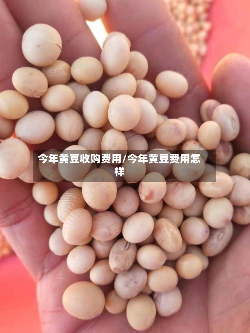 今年黄豆收购费用/今年黄豆费用怎样