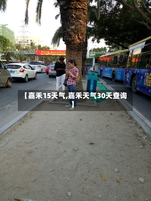 【嘉禾15天气,嘉禾天气30天查询】-第2张图片