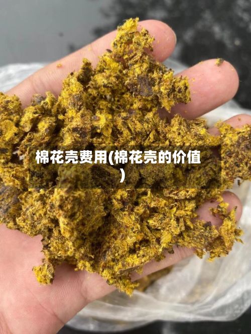棉花壳费用(棉花壳的价值)