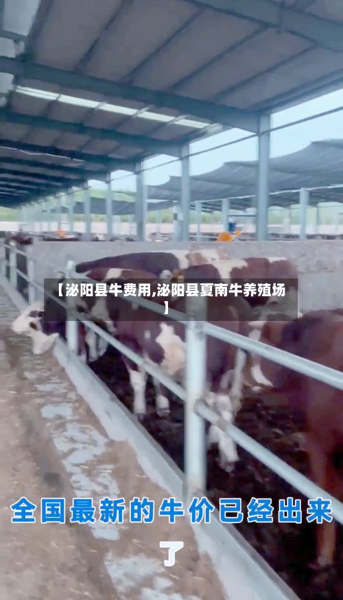 【泌阳县牛费用,泌阳县夏南牛养殖场】-第2张图片