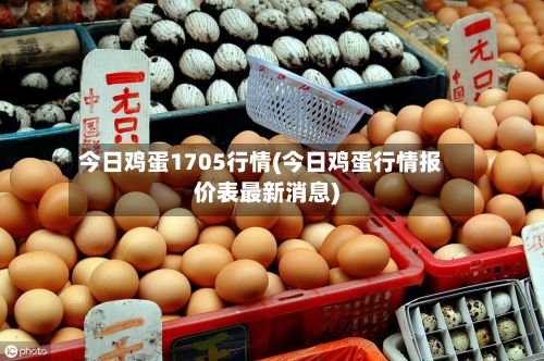 今日鸡蛋1705行情(今日鸡蛋行情报价表最新消息)