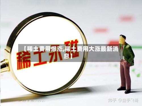 【稀土费用爆涨,稀土费用大涨最新消息】-第3张图片