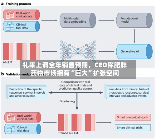 礼来上调全年销售预期	，CEO称肥胖药物市场拥有“巨大	”扩张空间-第2张图片