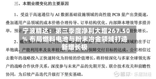 宁波精达：第三季度净利大增267.50% 布局燃料电池与粉末冶金领域打造新增长极-第3张图片