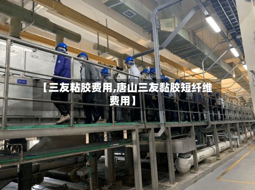 【三友粘胶费用,唐山三友黏胶短纤维费用】