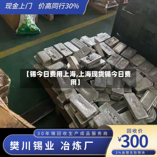 【锡今日费用上海,上海现货锡今日费用】
