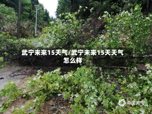 武宁未来15天气/武宁未来15天天气怎么样