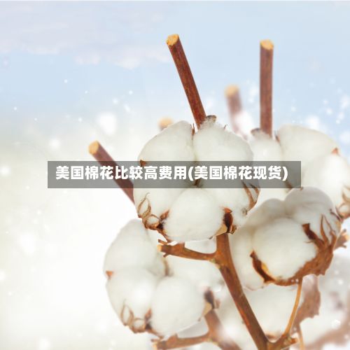 美国棉花比较高费用(美国棉花现货)