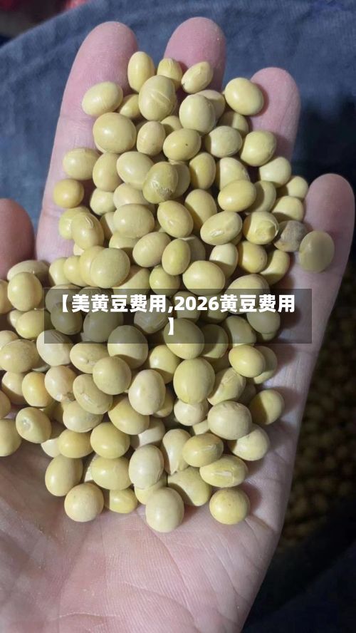 【美黄豆费用,2026黄豆费用】-第3张图片