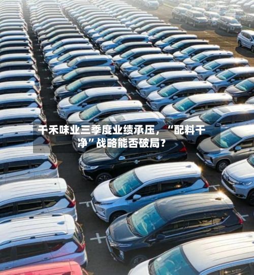 千禾味业三季度业绩承压	，“配料干净”战略能否破局？-第3张图片