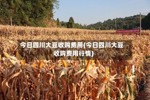 今日四川大豆收购费用(今日四川大豆收购费用行情)-第3张图片