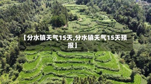 【分水镇天气15天,分水镇天气15天预报】