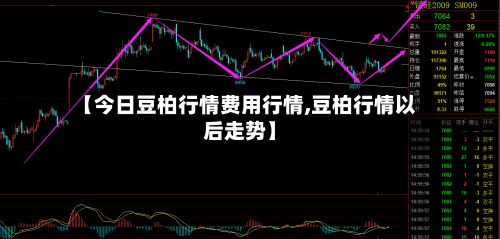 【今日豆柏行情费用行情,豆柏行情以后走势】