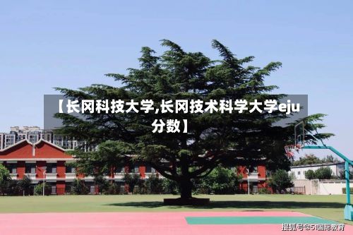 【长冈科技大学,长冈技术科学大学eju分数】