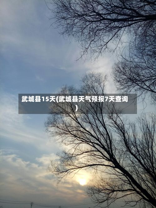 武城县15天(武城县天气预报7天查询)-第3张图片