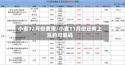 小麦12月份费用/小麦11月份还有上涨的可能吗