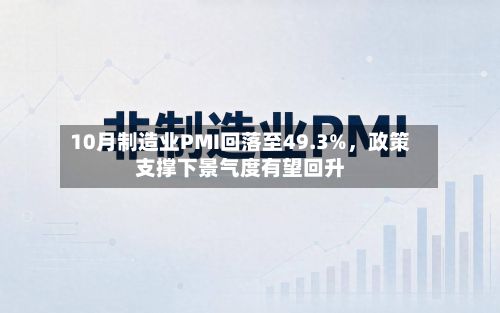 10月制造业PMI回落至49.3%	，政策支撑下景气度有望回升-第3张图片