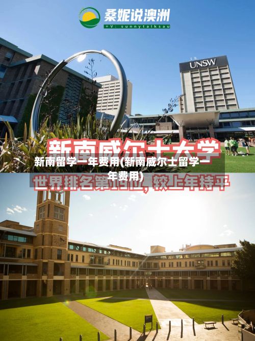 新南留学一年费用(新南威尔士留学一年费用)-第3张图片