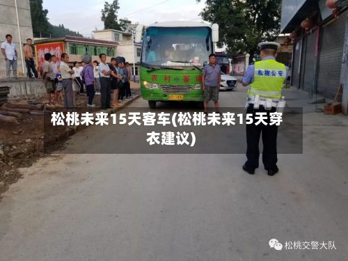 松桃未来15天客车(松桃未来15天穿衣建议)-第3张图片
