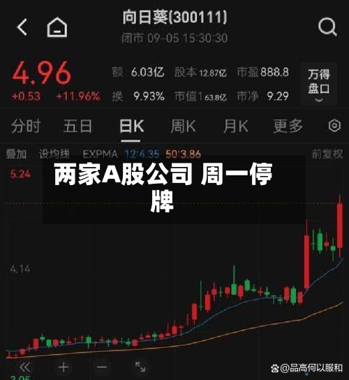 两家A股公司 周一停牌