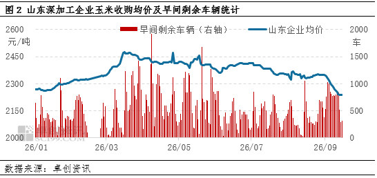 “玉”见未来：华北新季玉米价格持续下跌，东北产区如何应对？